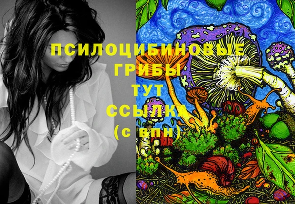 стаф Алзамай
