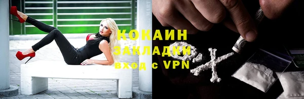 стаф Алзамай