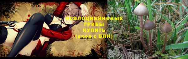 крисы Абдулино