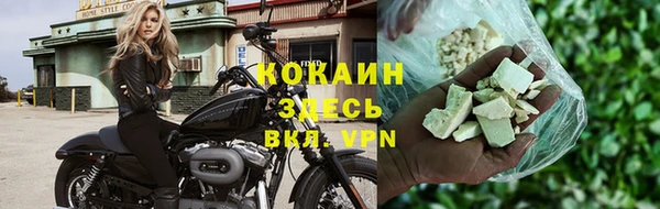 стаф Алзамай